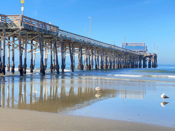 View of birds on wooden post at beach