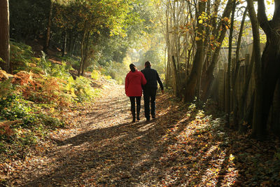 Rear view of friends walking in forest