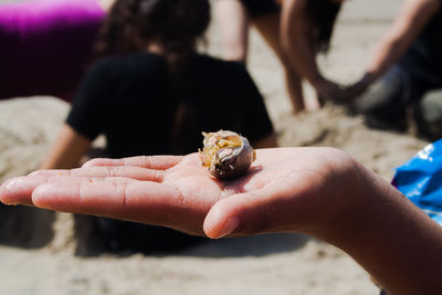 Cropped image of hand holding sand on beach