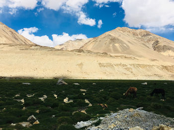 This view is clicked when we travel from tsomoriri lake in ladakh  to leh road 