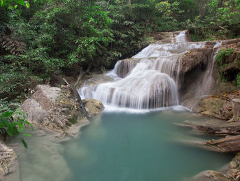 Scenic view of waterfall in forest