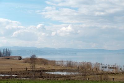 Scenic view of field against sky