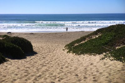 Scenic view of beach against clear sky