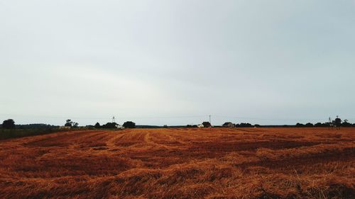 Scenic view of rural landscape