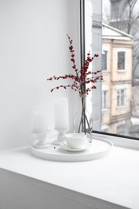 Potted plant on table