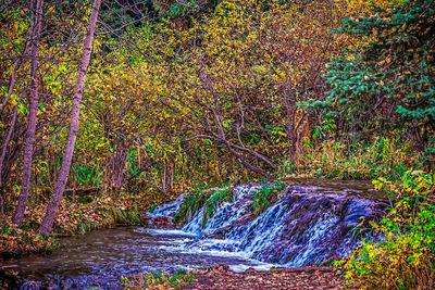 Stream flowing through rocks