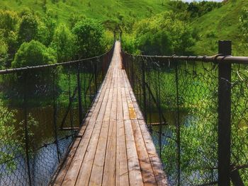 Footbridge amidst trees in forest