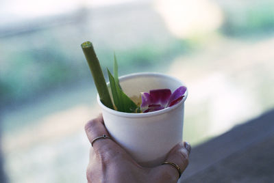 Close-up of hand holding drink