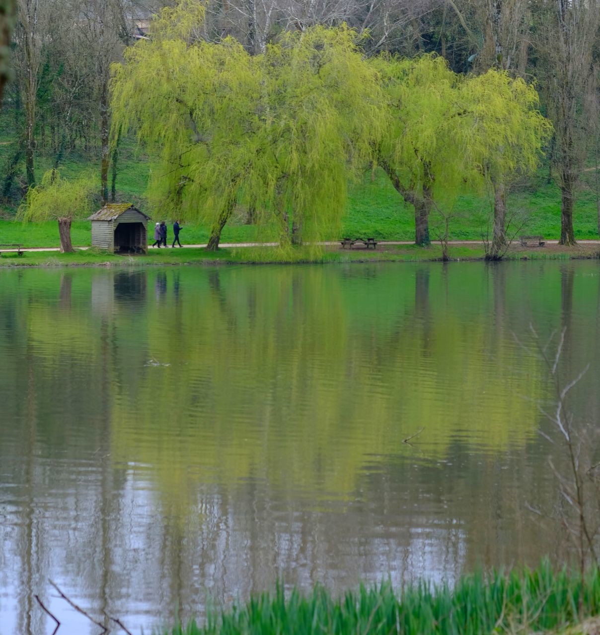 SCENIC VIEW OF LAKE