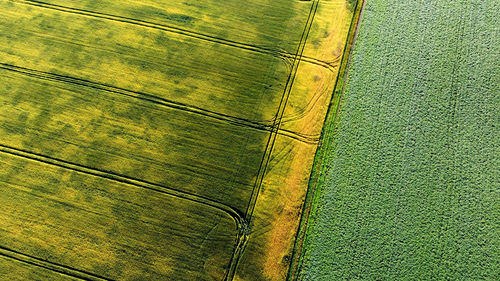 Full frame shot of agricultural field