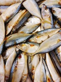 High angle view of fish for sale in market