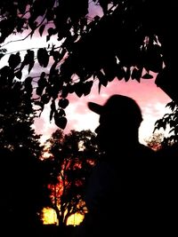 Low angle view of silhouette tree against sky