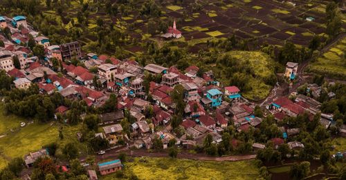 High angle view of trees and houses on field