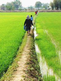 Rear view of people walking on grassy field