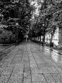 Rear view of people walking on street in city