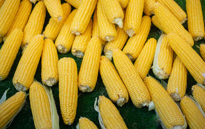 Full frame shot of yellow beans