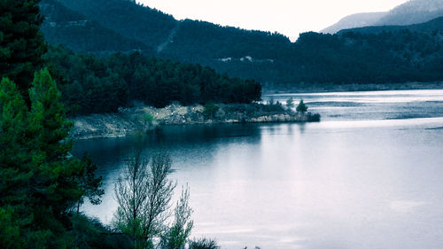 Scenic view of lake in forest against sky