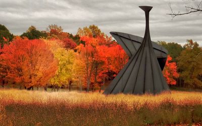 Trees on field against cloudy sky