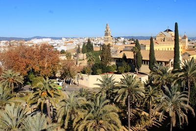 Panoramic view of córdoba from the alcázar. 