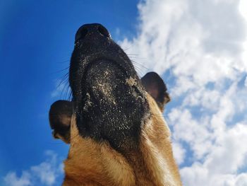 Low angle view of horse sculpture against sky