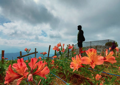 Man standing by flowering plants against sky