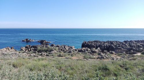 Scenic view of sea against clear sky