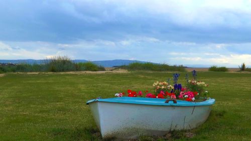 Scenic view of grassy field against sky