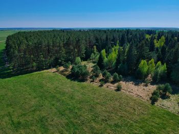 Scenic view of forest against clear blue sky