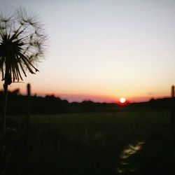 Scenic view of landscape at sunset