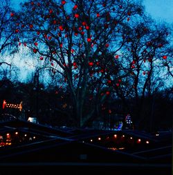 Low angle view of illuminated tree against sky at night