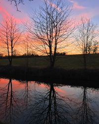 Silhouette of bare trees in lake during sunset