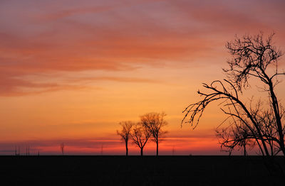 Silhouette of trees against cloudy sky at dusk