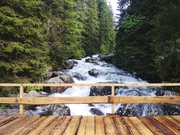 Scenic view of waterfall in forest