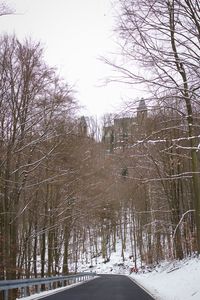 Bare trees on snow covered landscape