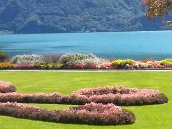 View of calm blue sea against lush foliage