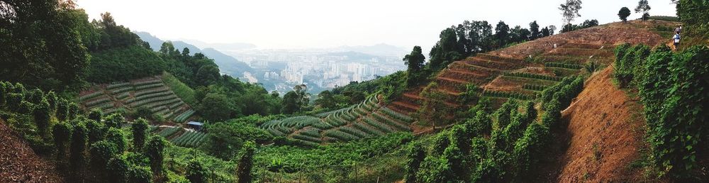 Panoramic view of landscape and mountains against sky