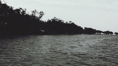 Reflection of trees in calm water