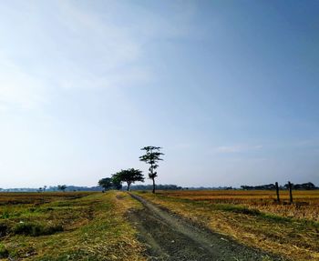 Road amidst plants on field against sky