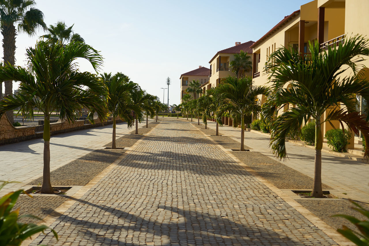 palm tree, tropical climate, architecture, tree, walkway, plant, built structure, nature, building exterior, footpath, building, sky, estate, neighbourhood, vacation, resort, city, residential district, sunlight, travel destinations, residential area, street, house, outdoors, no people, wealth, sunny, shadow, luxury, day, clear sky, tourist resort, pedestrian walkway, beauty in nature, travel, sidewalk, water, summer, tropical tree, courtyard, mansion, land, diminishing perspective, tourism, date palm tree, the way forward