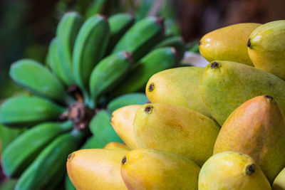 Close-up of fruits for sale in market