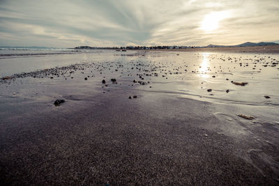 Birds in lake against sky during sunset