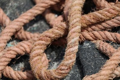 Close-up of ropes on rock