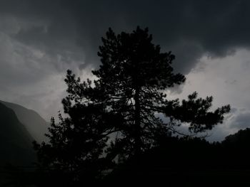 Low angle view of silhouette tree against sky at sunset