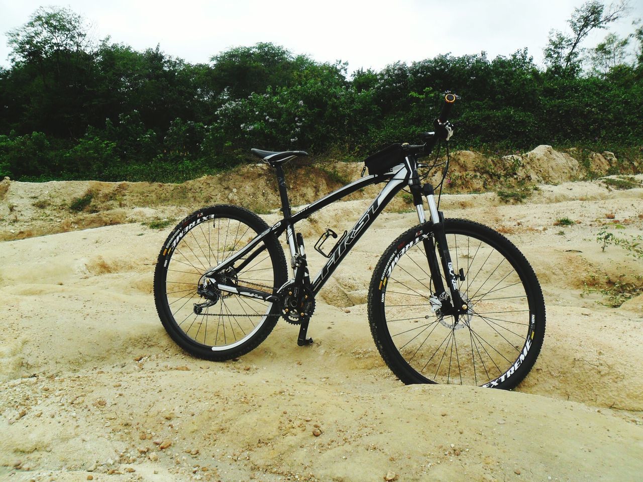 bicycle, transportation, land vehicle, mode of transport, stationary, parked, tree, parking, wheel, day, outdoors, shadow, sunlight, road, leaning, no people, cycle, nature, travel, side view