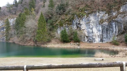 Scenic view of lake with trees in background