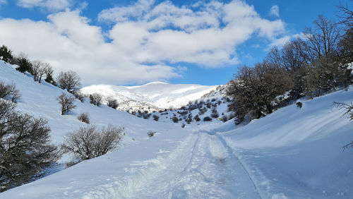 Scenic view of snow covered mountains against sky. winter in israel is exotic.