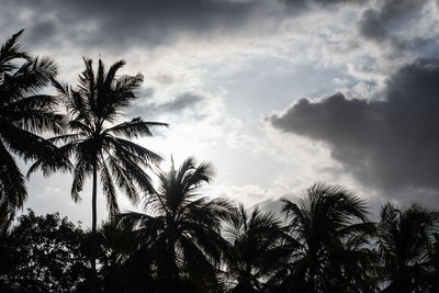 Low angle view of silhouette palm trees against sky