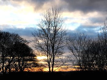 Silhouette bare trees on landscape against sky at sunset