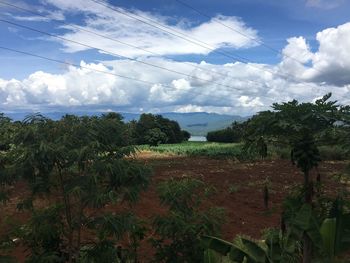 Scenic view of field against sky
