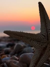 Close-up of sea against clear sky during sunset